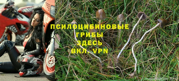 ALPHA PVP Абдулино