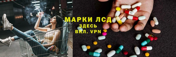 стафф Алексин