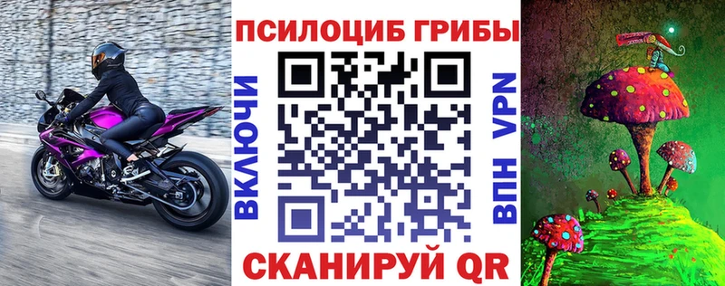 где можно купить Ессентукская Галлюциногенные грибы прущие грибы